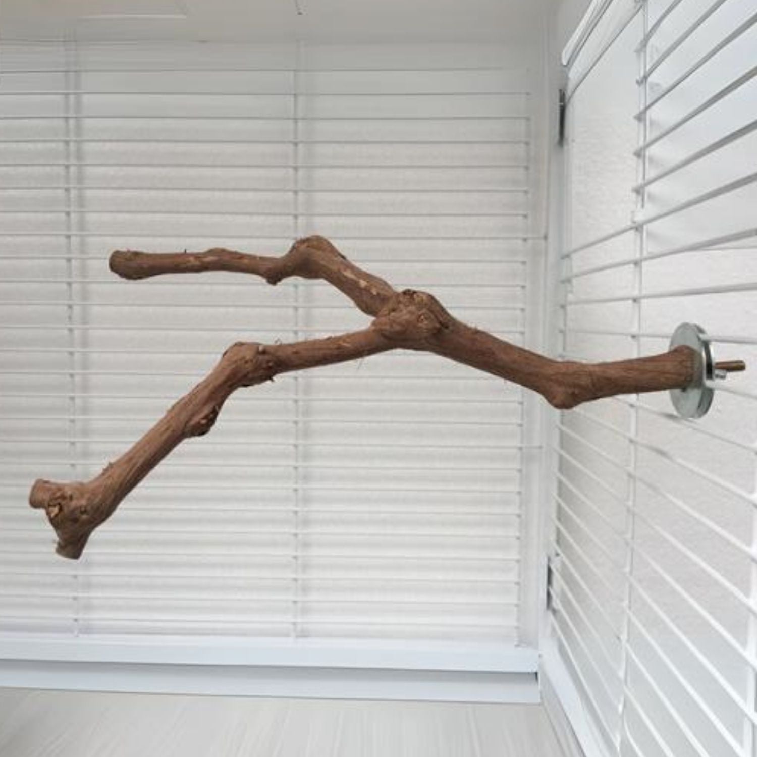 Natuurlijke Vogelstand natuurlijke tak voor vogels